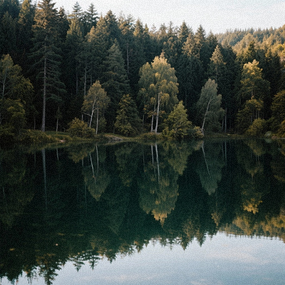 Imagine cu Lacul Ursu din Sovata, cu pădurea reflectată în apa sărată